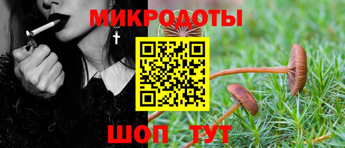 Галлюциногенные грибы мицелий Фролово