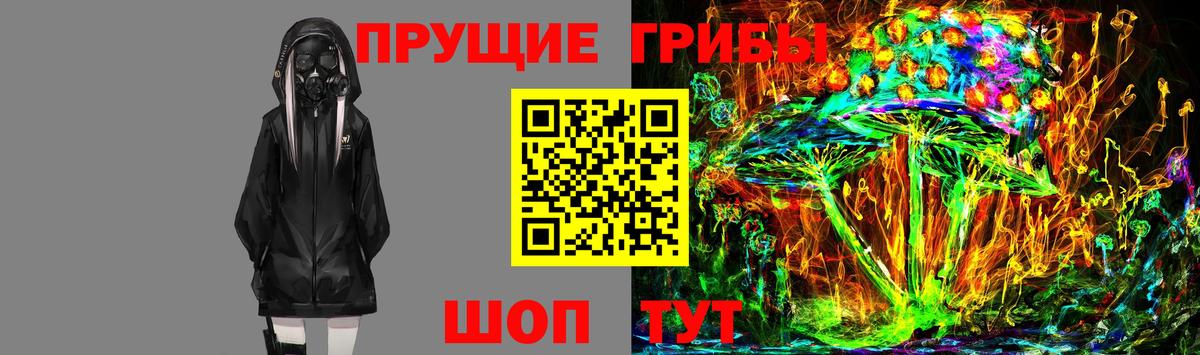 Фролово  Галлюциногенные грибы Cubensis  Псилоцибиновые грибы ЛСД  Вход с VPN 